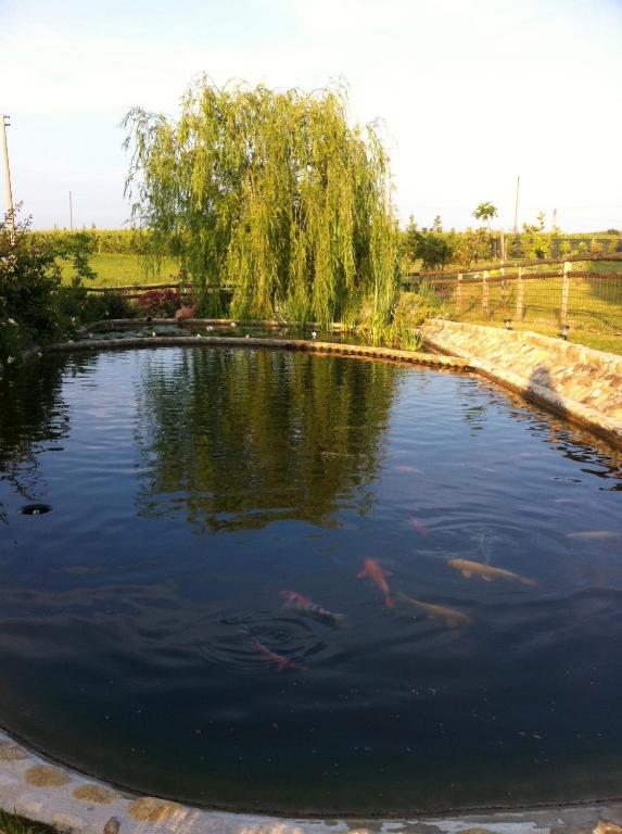 Azienda Agrituristica Bellavista Villa Montespertoli Esterno foto