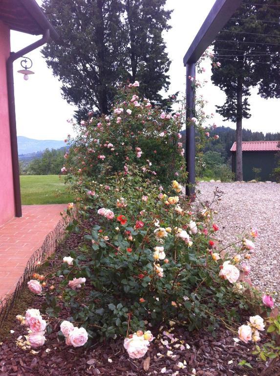 Azienda Agrituristica Bellavista Villa Montespertoli Esterno foto