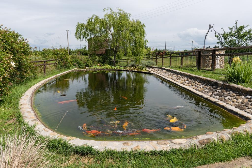 Azienda Agrituristica Bellavista Villa Montespertoli Esterno foto